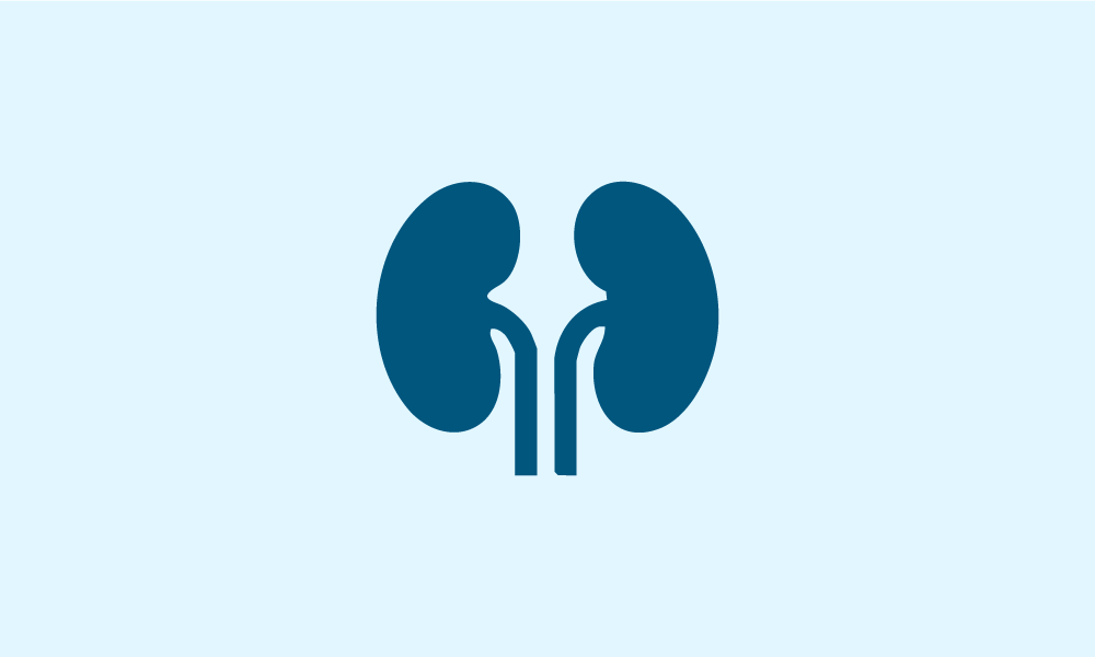 Urology Icon